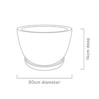 Decorative Plant Pot - Gold Garden