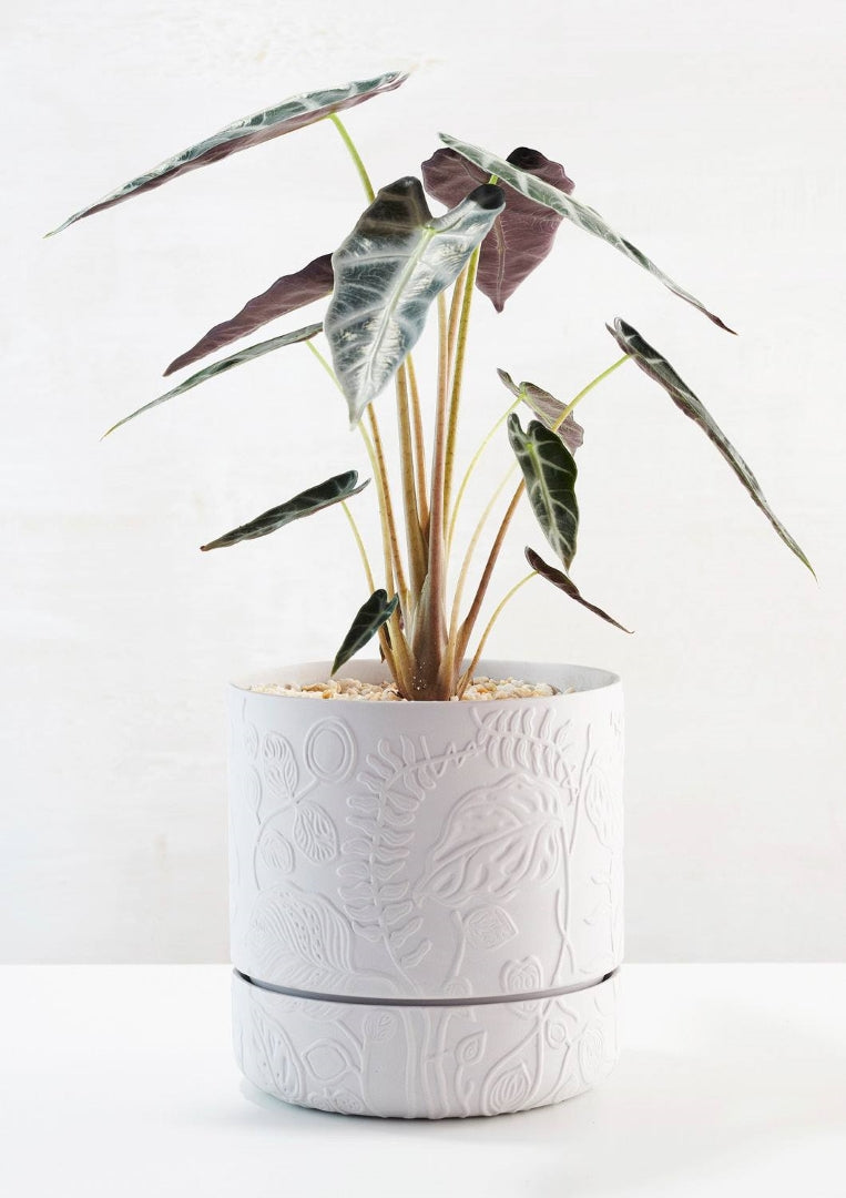 Folia Relief Plant Pots Grey
