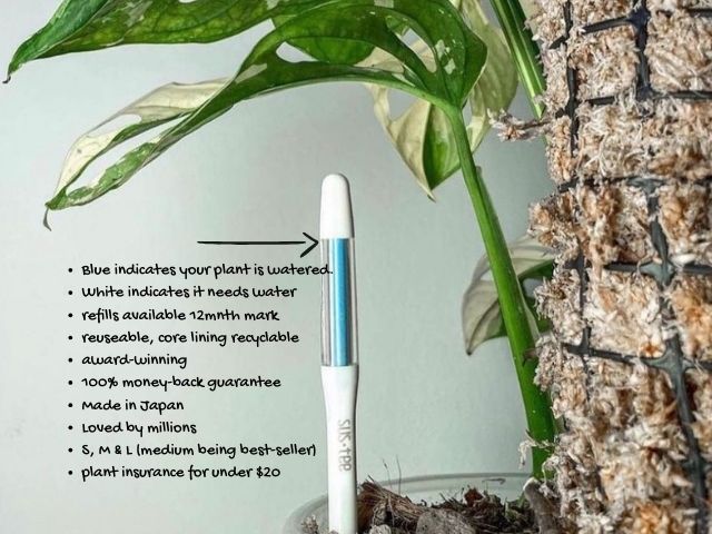 Sustee Soil Moisture Sensor - Large (Pots 18cm+)