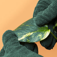 Leaf Cleaning Gloves - Green