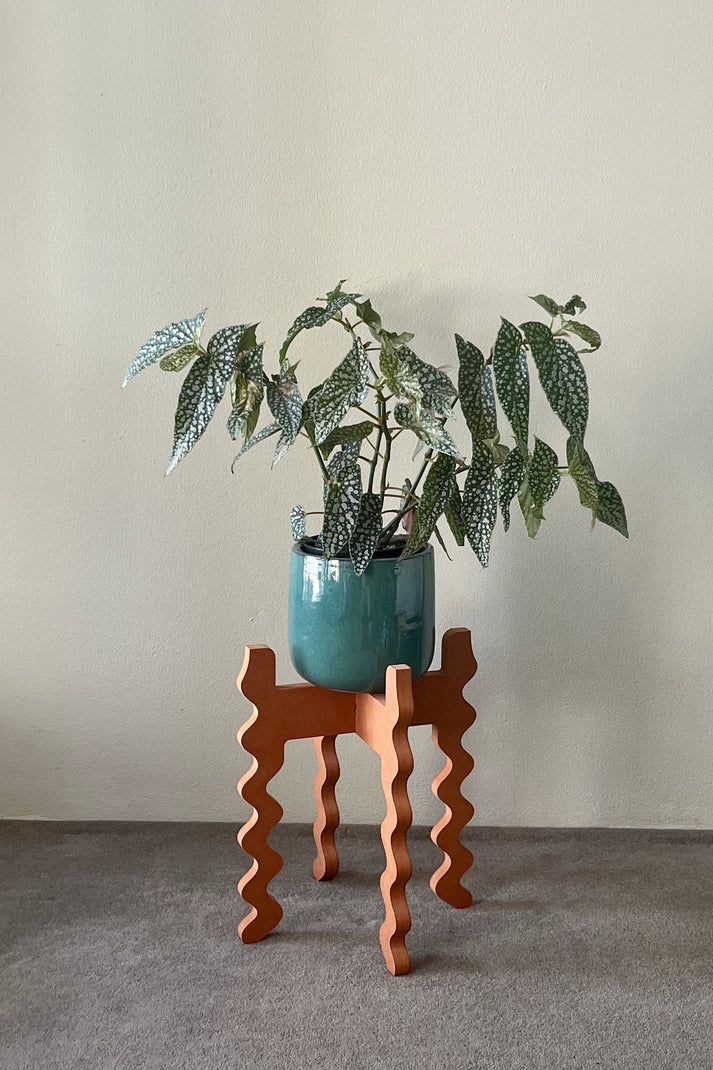 Middie Wide Plant Stand