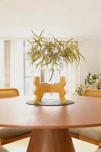 Low Rider Plant Stand
