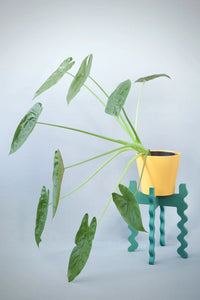 Middie Wide Plant Stand