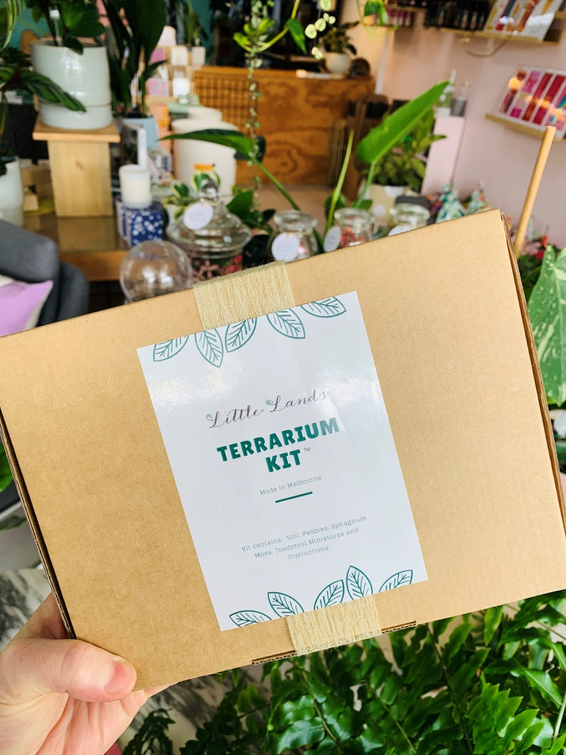 DIY Terrarium Kit
