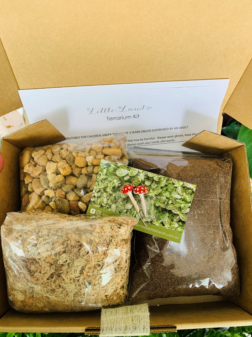 DIY Terrarium Kit