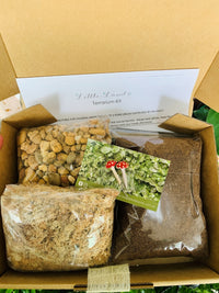 DIY Terrarium Kit