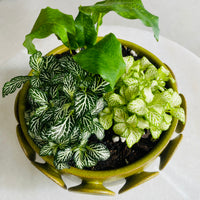 Perry Ceramic Planter Wide Arrangement