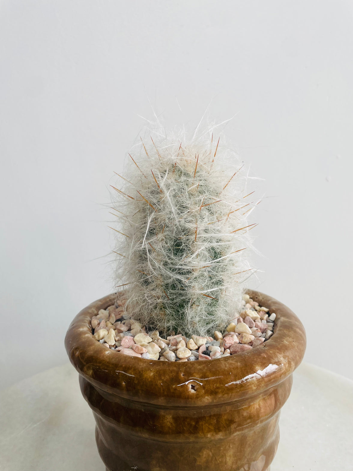 Old Man of the Mountain | Eli Ceramic Pot – Cinnamon Brown