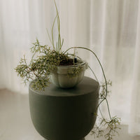 Poppy Self Watering Hanging Planter - Jade
