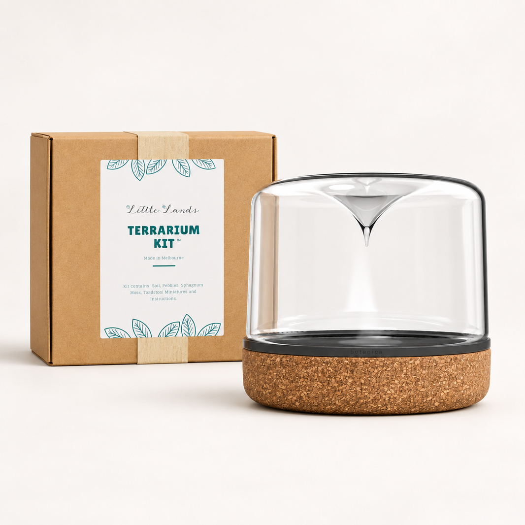 Rainforest DIY Terrarium Gift Bundle