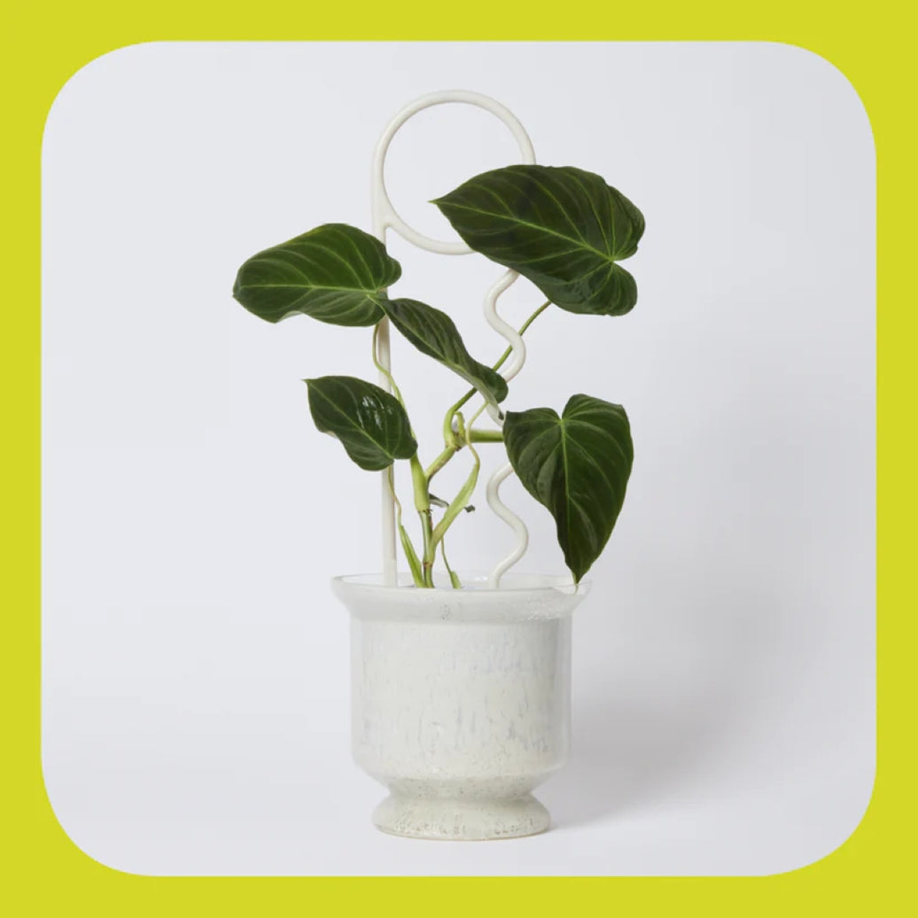 Milky Plant Pin