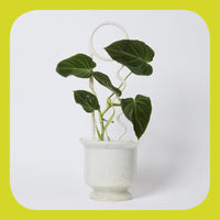 Milky Plant Pin