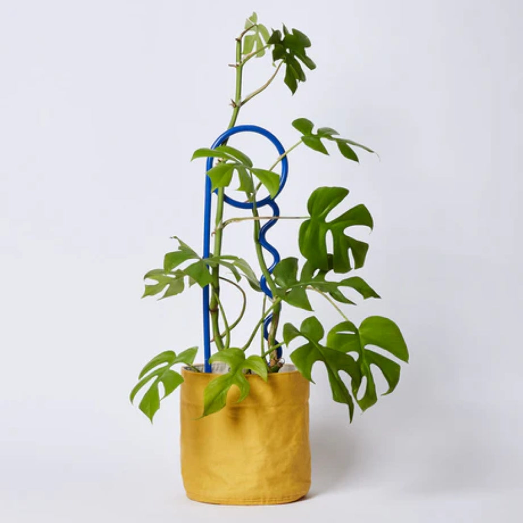 Full Cream Plant Pin