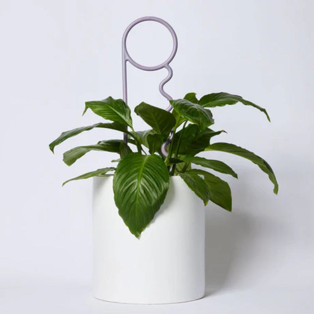 Grape Plant Pin