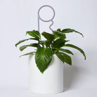 Grape Plant Pin