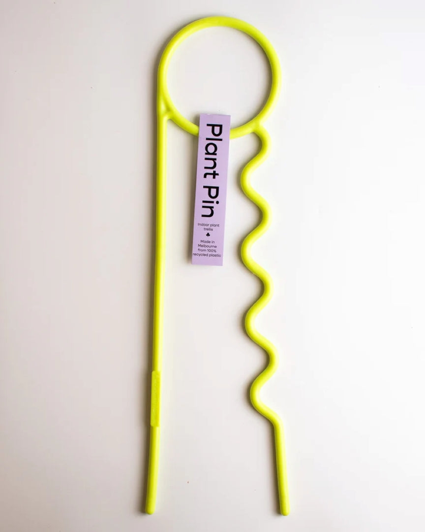 Neon Noodle Plant Pin