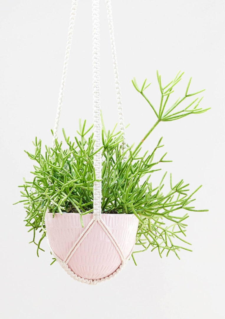Macrame Hanging Planter Small Bright Pink