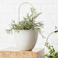 Arch Brass Plant Stake