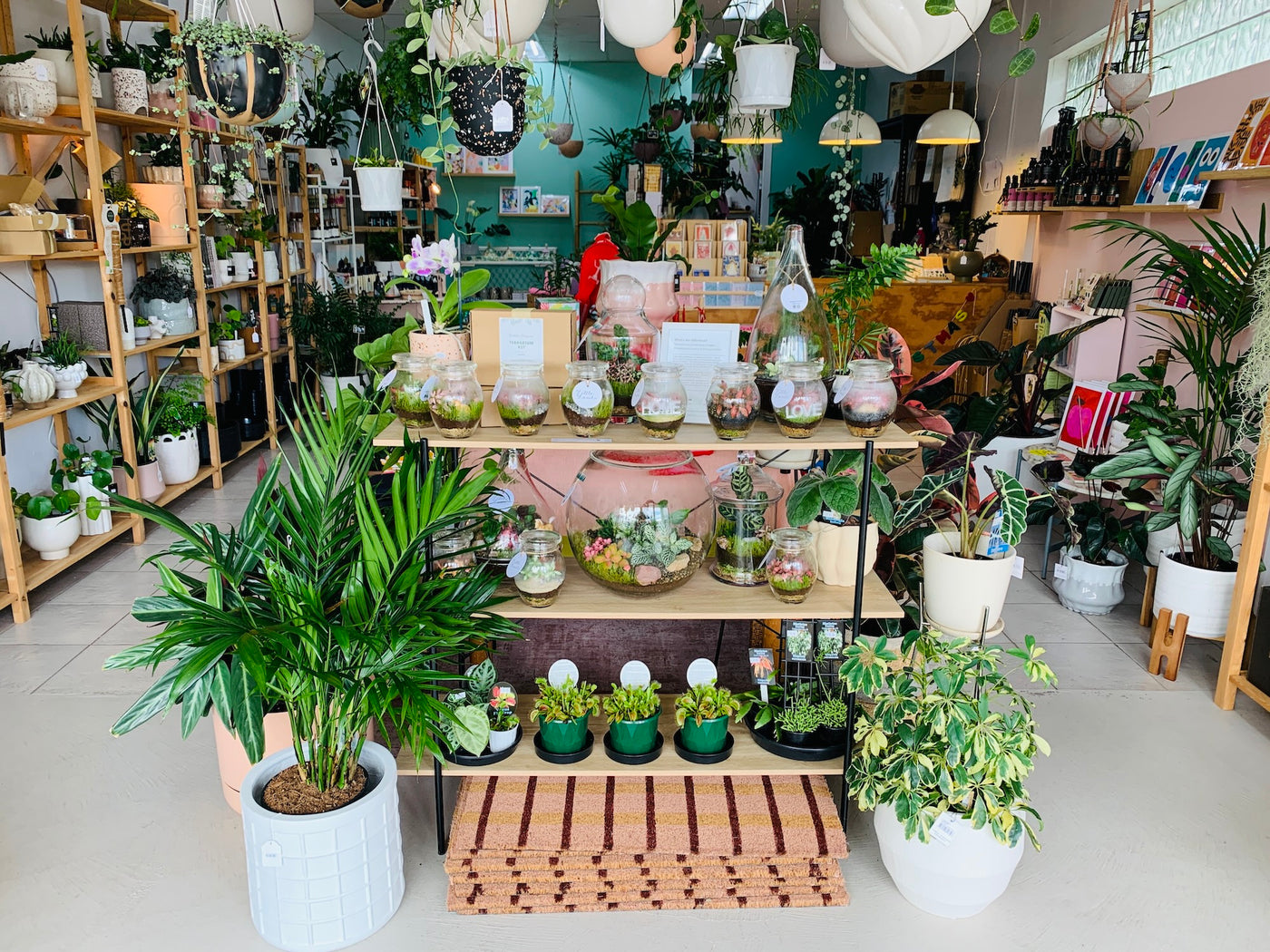 Minty Greenhouse plant store with various potted plants and decor items.