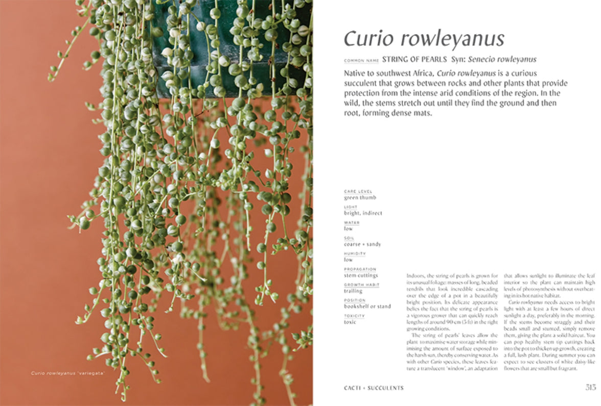 Plantopedia: The Definitive Guide to House Plants