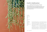 Plantopedia: The Definitive Guide to House Plants