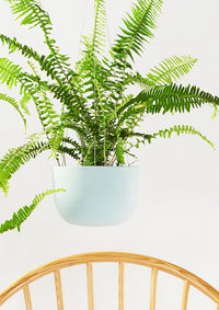 Raw Earth Hanging Planter Shale Green