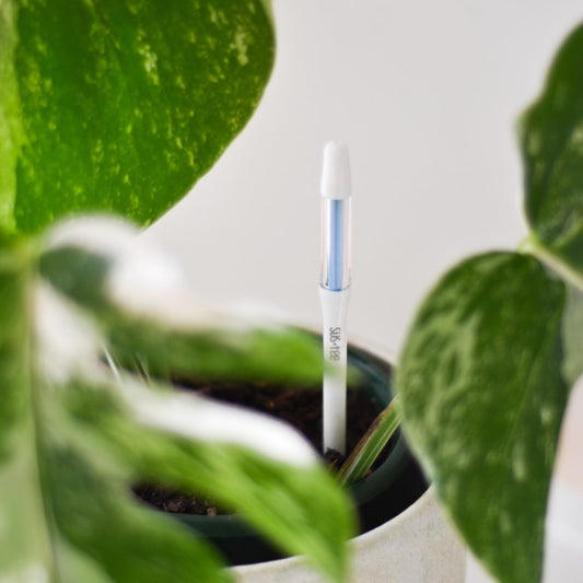 Sustee Soil Moisture Sensor - Medium (Pots 12–18cm)