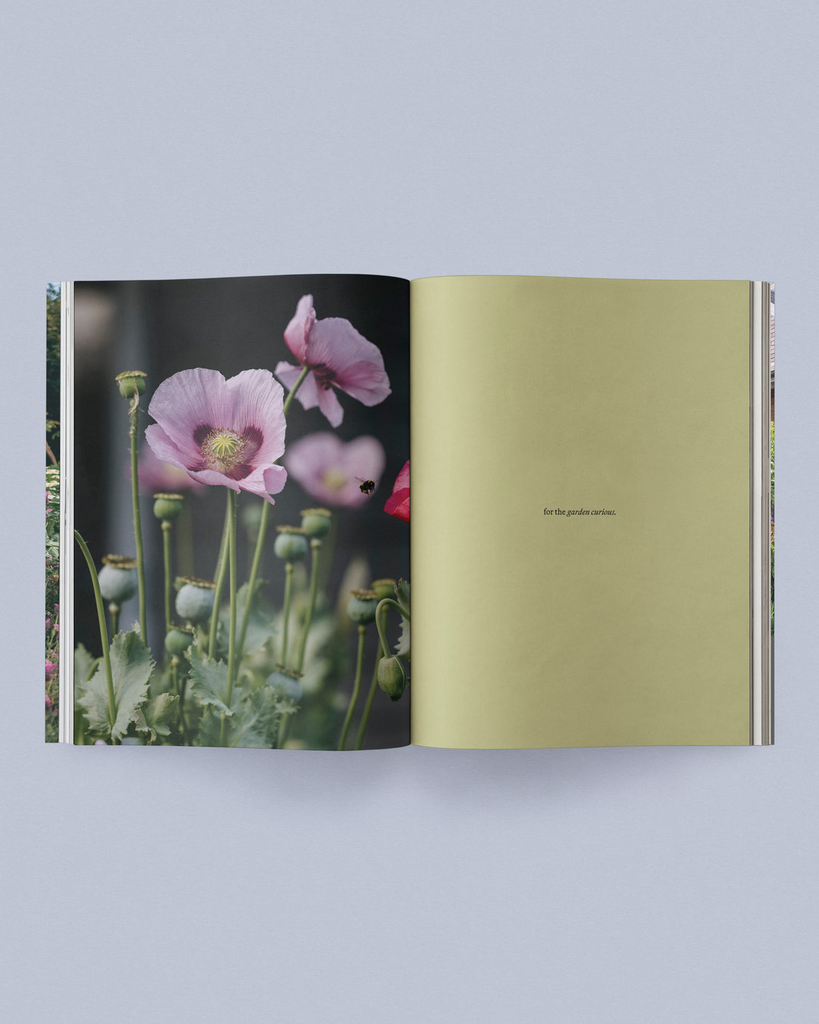 Sage Journal Volume 2