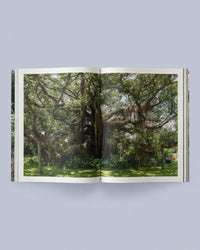 Sage Journal Volume 2