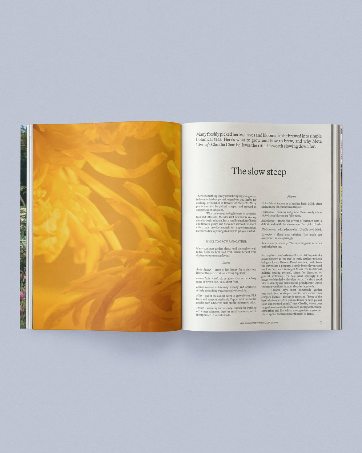 Sage Journal Volume 2