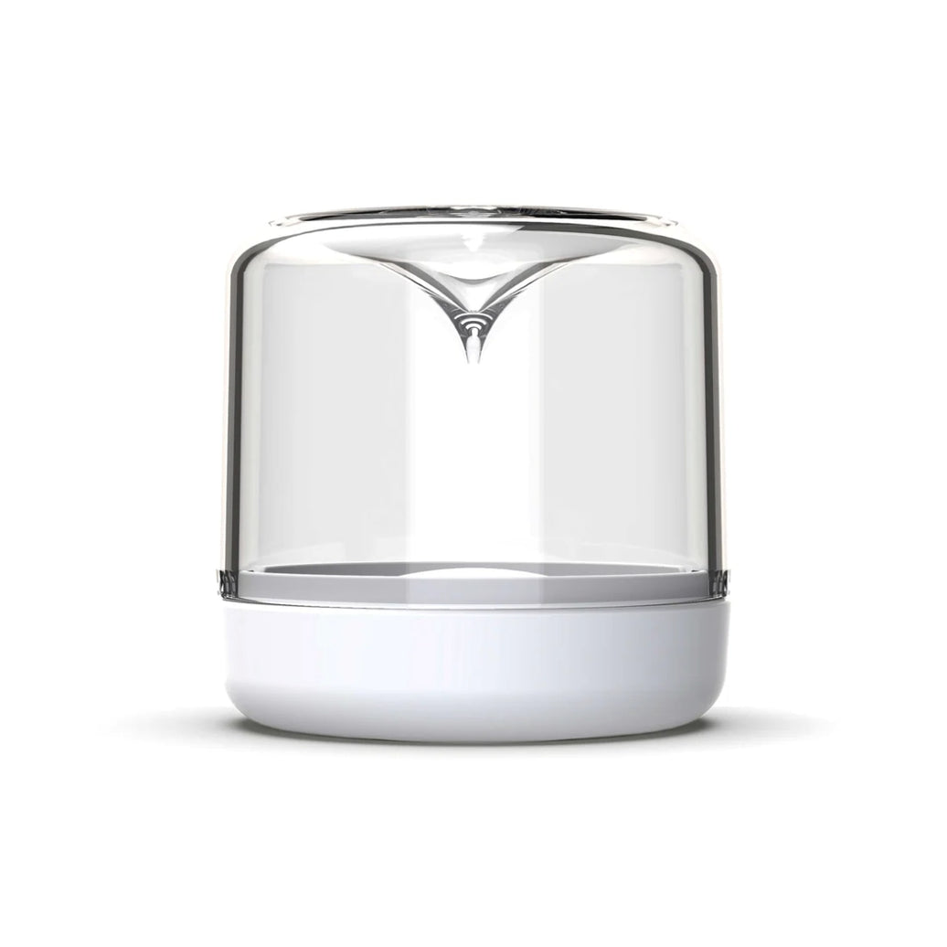 Sanctuary Terrarium - White