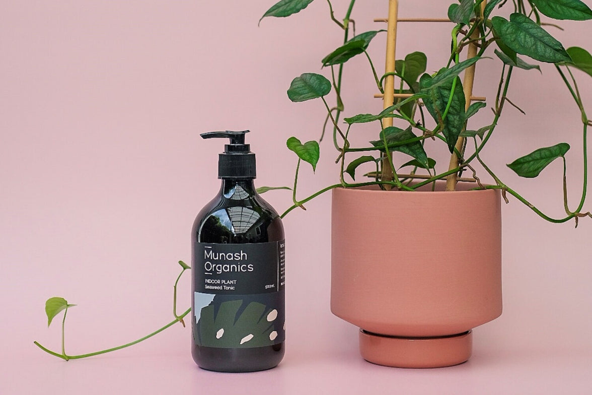 Indoor Plant Seaweed Tonic