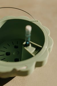 Poppy Self Watering Hanging Planter - Jade