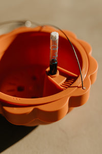 Poppy Self Watering Hanging Planter - Clay