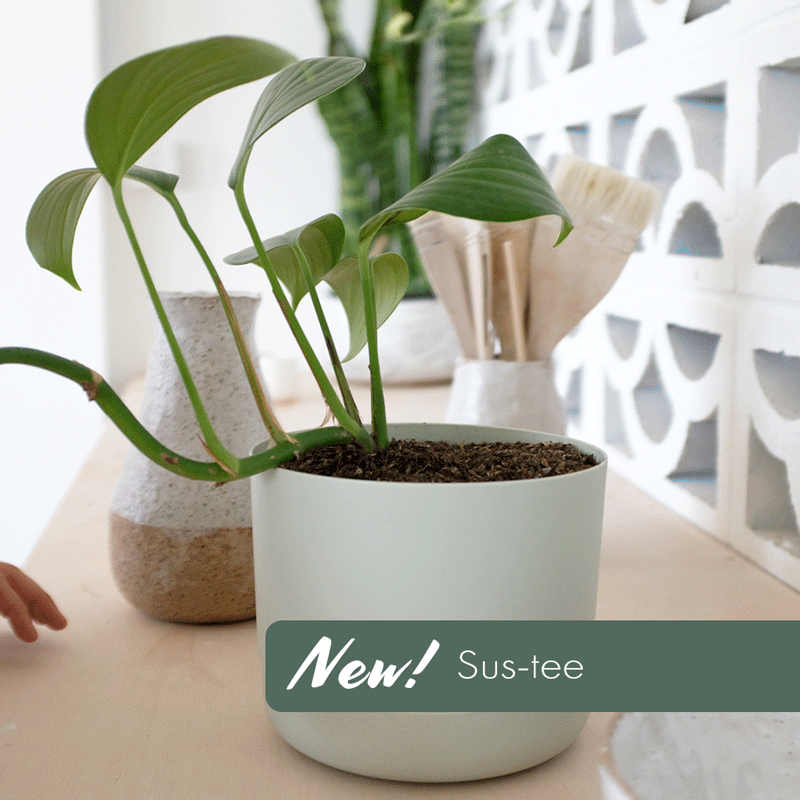 Sustee Soil Moisture Sensor - Small (Pots up to 12cm)
