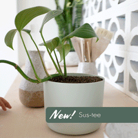 Sustee Soil Moisture Sensor - Small (Pots up to 12cm)