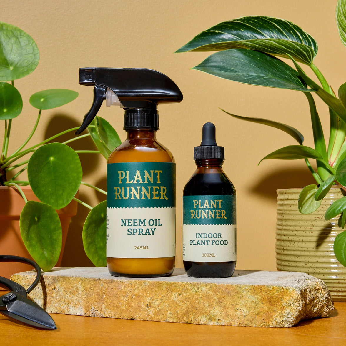 Plant Care Essentials Kit