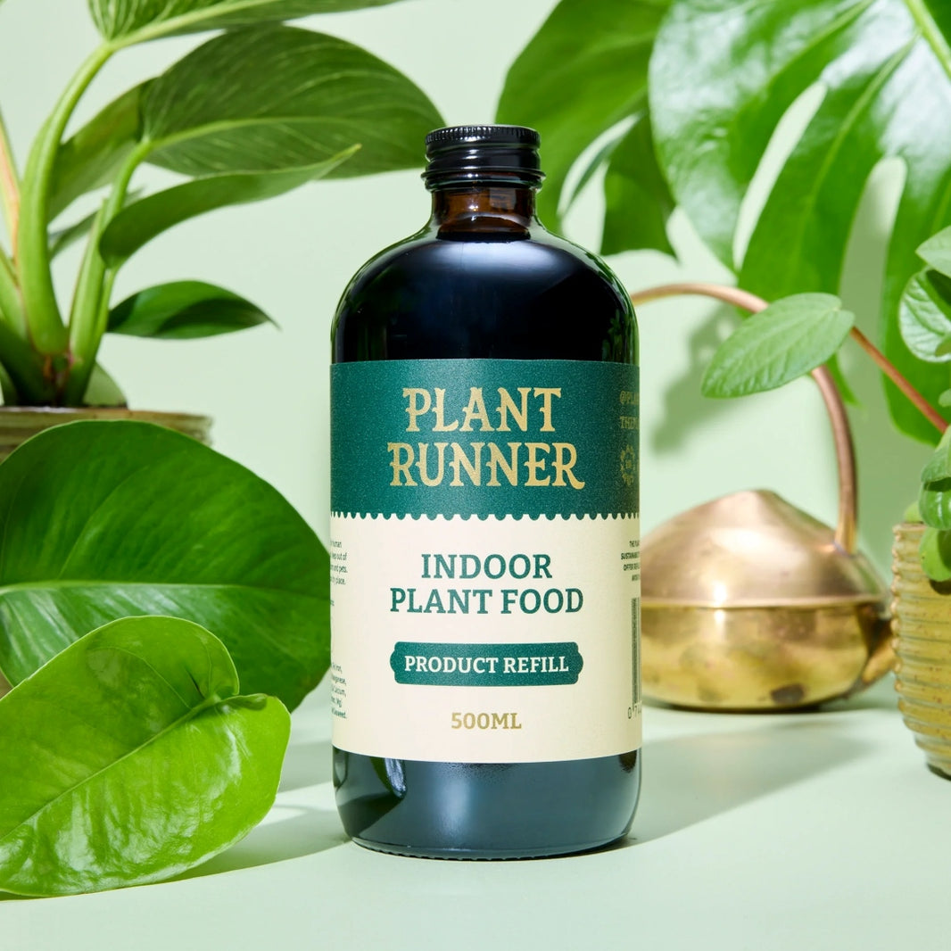 Indoor Plant Food