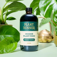 Indoor Plant Food