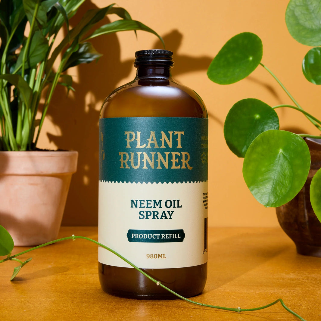 Neem Oil Leaf Shine Spray