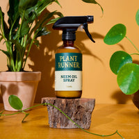 Neem Oil Leaf Shine Spray