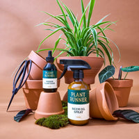 Plant Care Essentials Kit