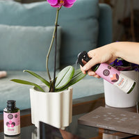 Orchid Protect Spray