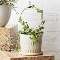Circle Brass Plant Stake