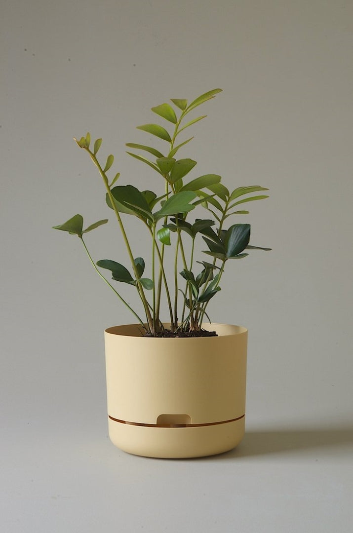 215mm Selfwatering Plant Pot