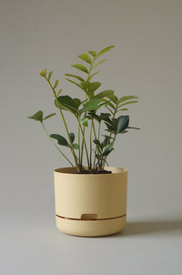 215mm Selfwatering Plant Pot
