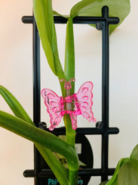Bug Plant Clips - 8 pack