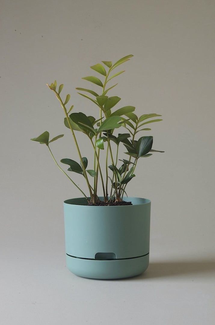 215mm Selfwatering Plant Pot