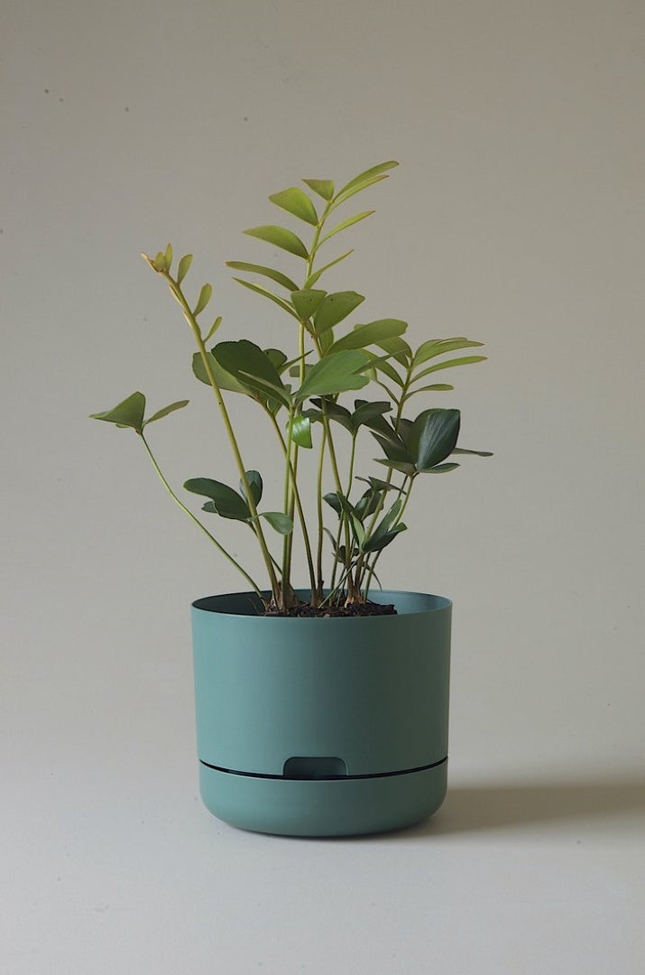 215mm Selfwatering Plant Pot
