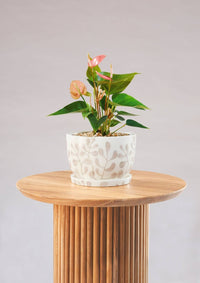 Decorative Plant Pot - Blush Leaves